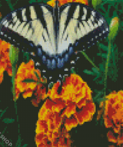 Butterfly On Marigolds Diamond Paintings