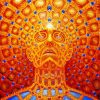 Alex Grey Art Diamond Paintings