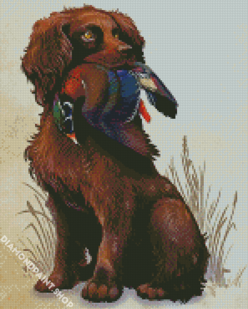 Boykin Spaniel Dog Diamond Paintings