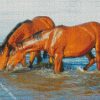 Horses Drinking Diamond Paintings