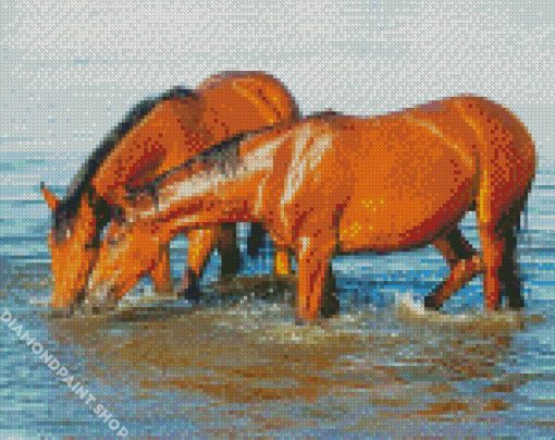 Horses Drinking Diamond Paintings