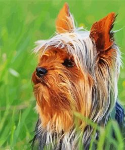 Australian Terrier Diamond Paintings