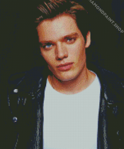 Dominic Sherwood Actor Diamond Paintings