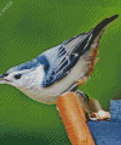 Breasted Nuthatch Diamond Paintings