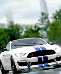 Ford Shelby GT350R Diamond Paintings