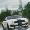 Ford Shelby GT350R Diamond Paintings