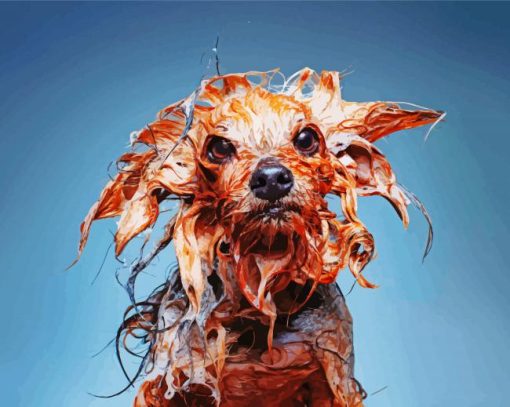 Funny Wet Dog Diamond Paintings