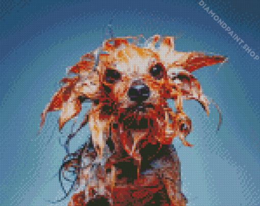 Funny Wet Dog Diamond Paintings