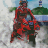 Motorcycle Driver Race Diamond Paintings