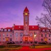 Indiana University Diamond Paintings