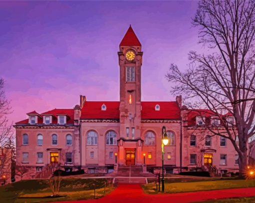 Indiana University Diamond Paintings