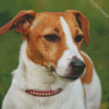 Jack Russell Terrier Diamond Paintings