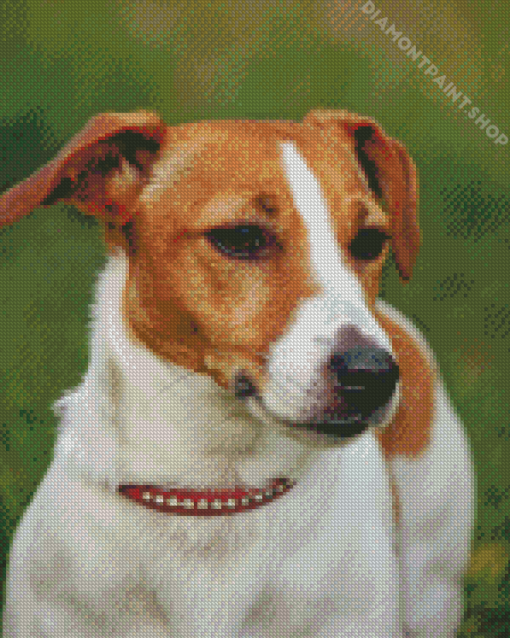 Jack Russell Terrier Diamond Paintings