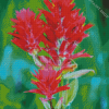 Indian Paintbrush Diamond Paintings