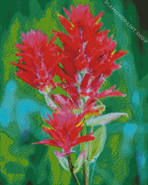 Indian Paintbrush Diamond Paintings