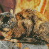 Tortoiseshelle Cat Diamond Paintings