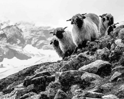 Valais Blacknose Sheeps Diamond Paintings