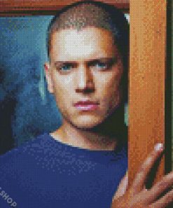 Wentworth Miller Diamond Paintings