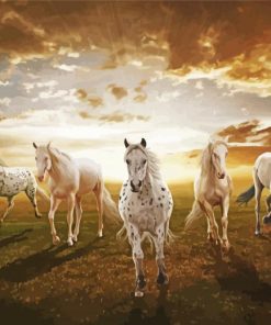 White Five Horses Diamond Paintings