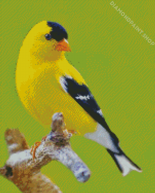 Yellow Finche Bird Diamond Paintings