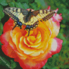 Butterfley And Rose Art Diamond Paintings