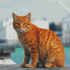 Orange Tabby Cat Diamond Paintings