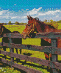 Farm Horses Diamond Paintings