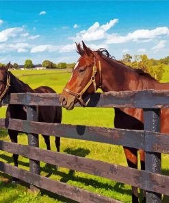 Farm Horses Diamond Paintings