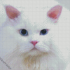 White Persian Kitty Diamond Paintings