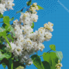 White Lilac Tree Diamond Paintings