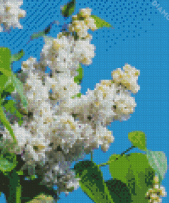 White Lilac Tree Diamond Paintings