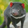 Tasmanian Devil Diamond Paintings