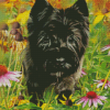 Cairn Terrier Dog Diamond Paintings