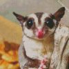 Cute Sugar Glider Diamond Paintings