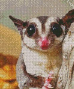 Cute Sugar Glider Diamond Paintings