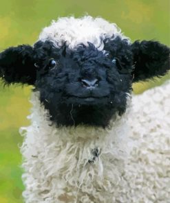 Cute Blacknose Sheep Diamond Paintings