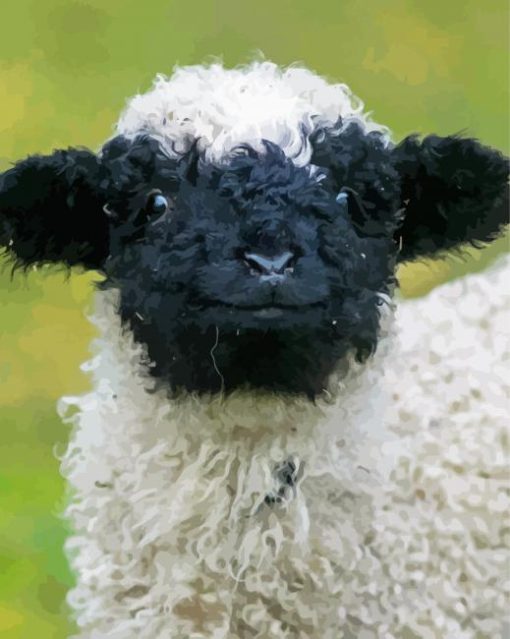 Cute Blacknose Sheep Diamond Paintings