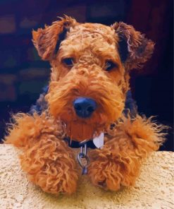 Cute Welsh Terrier Diamond Paintings