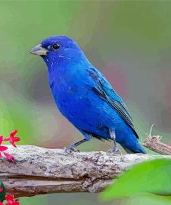 Blue Indigo Bunting Diamond Paintings