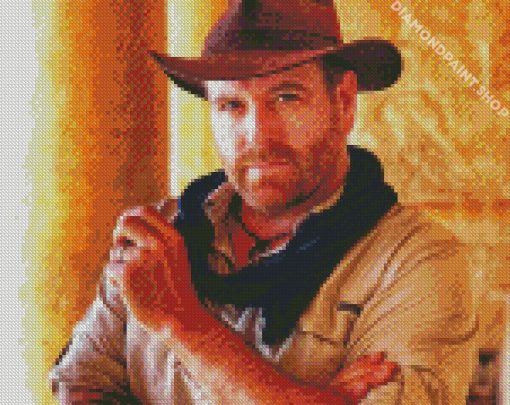 Josh Gates Diamond Paintings