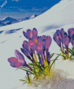 Flowers In Snow Diamond Paintings