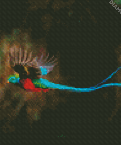 Blue Tail Quetzal Diamond Paintings