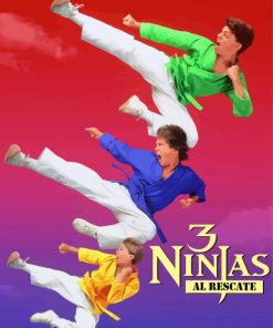 3 Ninja Movie Poster Diamond Paintings