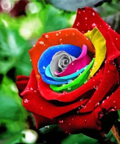 Colorful Rose Diamond Paintings