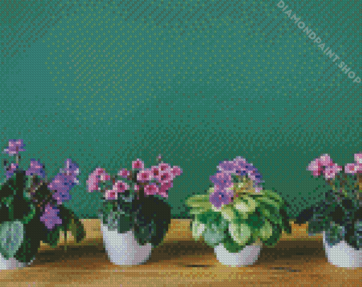 African Violets Diamond Paintings