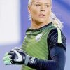 Ashlyn Harris Player Diamond Paintings