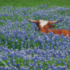 Longhorn In Bluebonnets Field Diamond Paintings