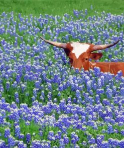 Longhorn In Bluebonnets Field Diamond Paintings