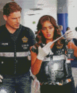 CSI Characters Diamond Paintings