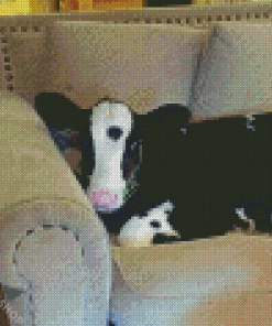 Cow On A Couch Diamond Paintings